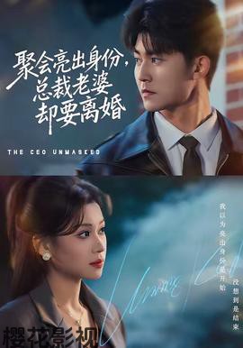 聚会亮出身份，总裁老婆却要离婚